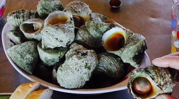 Cồn Cỏ - hòn đảo xinh đẹp của Quảng Trị với nhiều đặc sản vừa ngon, vừa quý hiếm