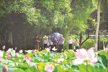 Tháng 5, về thăm làng Sen quê Bác