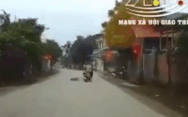 Camera giao thông: Bất ngờ gặp chó chạy băng qua đường, người phụ nữ cùng xe máy bị ngã văng