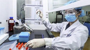 Việt Nam được WHO lựa chọn để tiếp nhận công nghệ vaccine mRNA mới