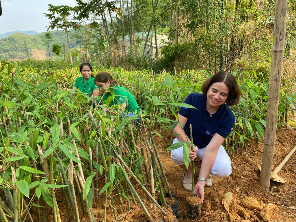 Đại sứ Australia tại Việt Nam, Bà Robyn Mudie, trải nghiệm trồng măng tại HTX Sản xuất Măng Xuân Nha. Ảnh: ĐSQ Australia tại Việt Nam