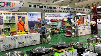 viet nam lao chia se giai phap hop tac kinh te cung nhau vuot bao covid