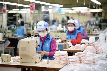viet nam israel nhieu co hoi giao thuong tren co so khai thac the manh cua nhau