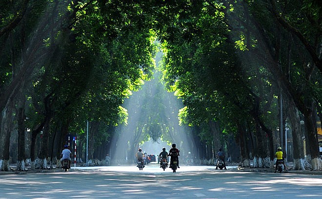 Thủ đô Hà Nội mục tiêu đạt tỷ lệ cây xanh 7m2/người vào năm 2030 ( Ảnh minh họa )