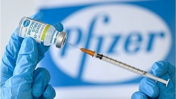 Bộ Y tế cho phép tiêm vaccine Pfizer liều 0,2 ml cho trẻ từ 5 đến dưới 12 tuổi