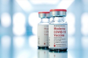 Vaccine ngừa Omicron hứa hẹn được lưu hành tại Nhật Bản vào năm 2023