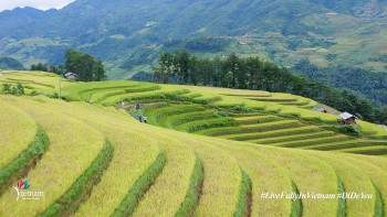 Việt Nam: Đi Để Yêu!