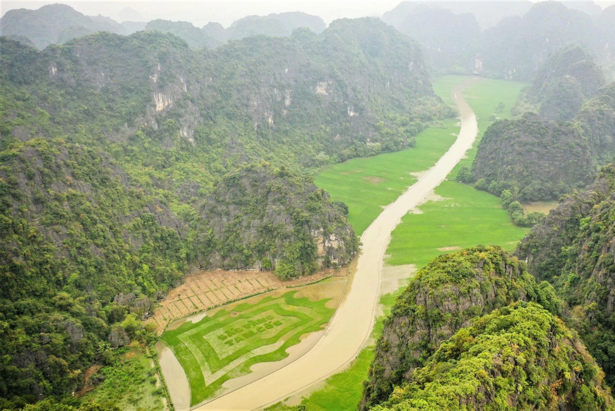 Trầm trồ cánh đồng lúa hình lá cờ hội "khổng lồ" đẹp như tranh ở Tam Cốc