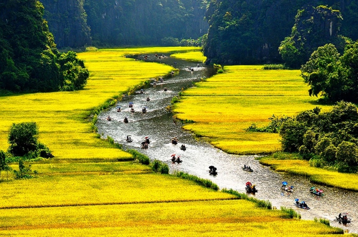 Trầm trồ cánh đồng lúa hình lá cờ hội "khổng lồ" đẹp như tranh ở Tam Cốc