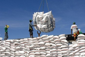 Quý I/2022: xuất khẩu gạo Việt Nam tăng trưởng mạnh