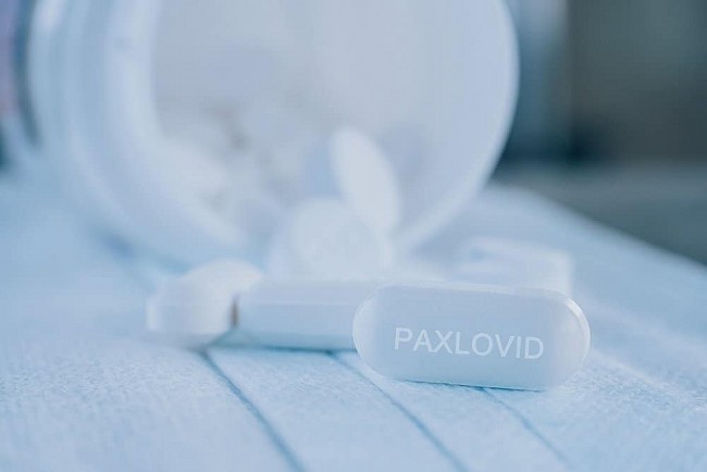 WHO khuyến nghị sử dụng thuốc viên của hãng Pfizer cho bệnh nhân mắc COVID-19