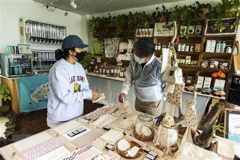 Đảo du lịch Jeju ngừng sử dụng cốc nhựa dùng một lần
