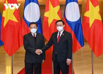 Việt Nam dành ưu tiên cao nhất cho quan hệ hữu nghị vĩ đại, đoàn kết đặc biệt Việt - Lào