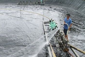 Thanh Hóa: Nuôi trồng thủy sản ven biển thích ứng với biến đổi khí hậu