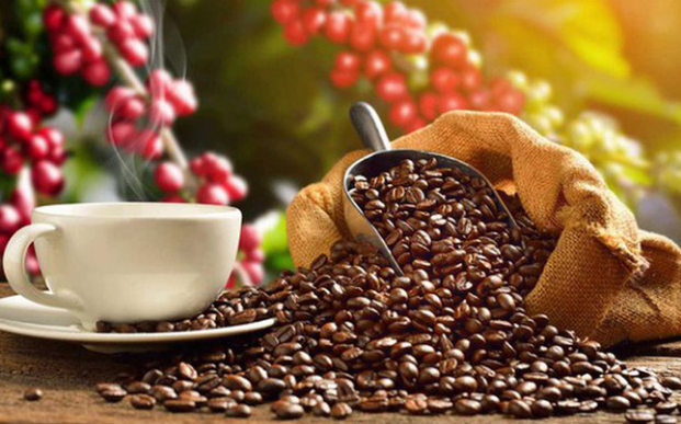 5 tháng đầu năm, xuất khẩu cà phê đạt trên 2 tỷ USD