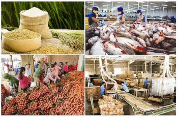 Xuất khẩu nông lâm thủy sản 6 tháng đầu năm đạt gần 28 tỷ USD