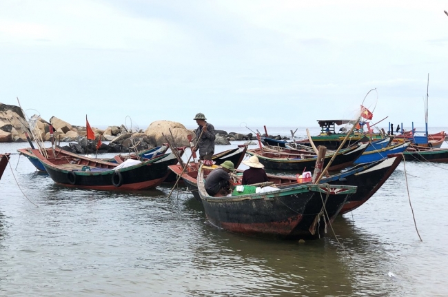 Ngư dân Kỳ Xuân trúng mùa cá mờm cơm