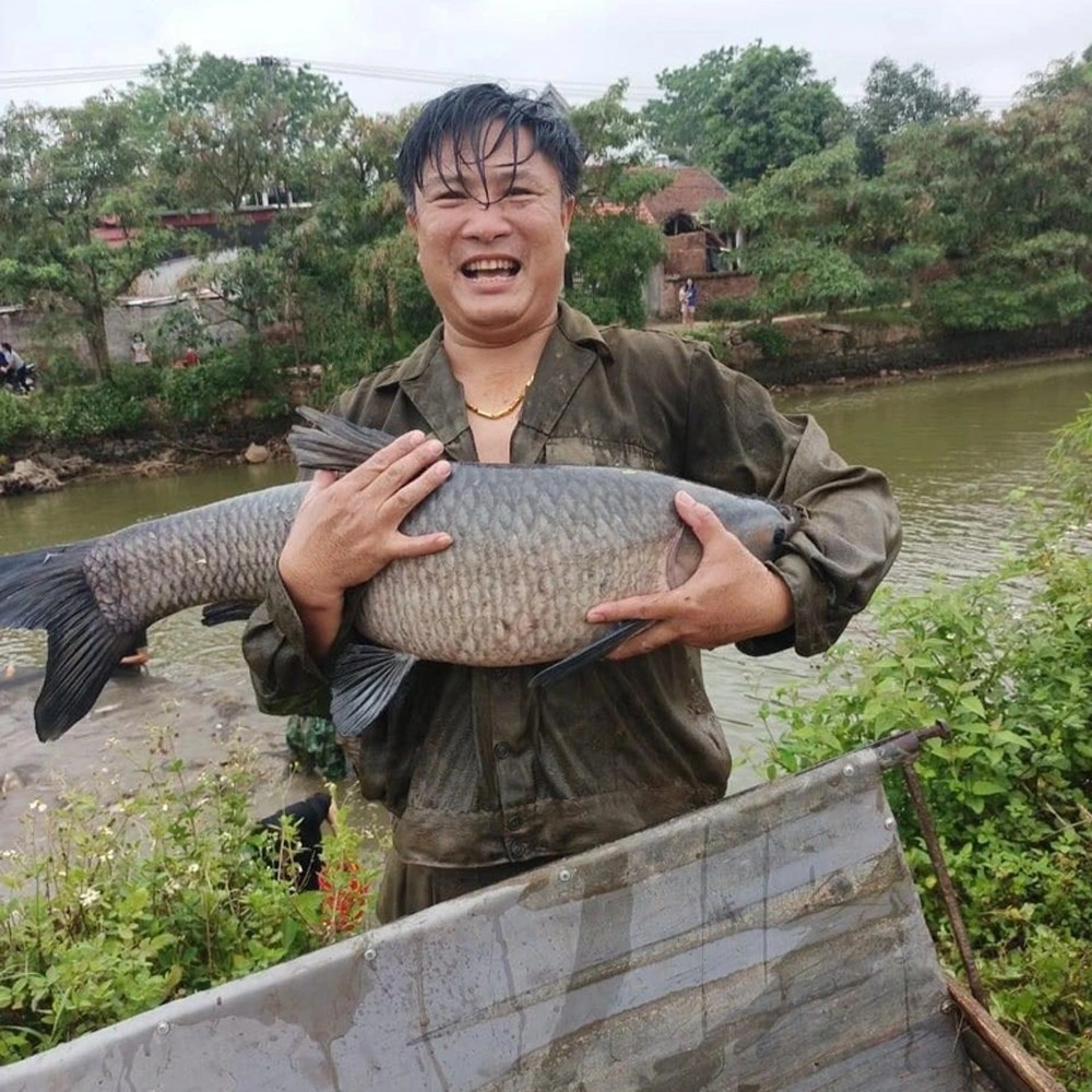 &quot;Phiên chợ&quot; lạ bán cá không cần cân ở Bắc Giang