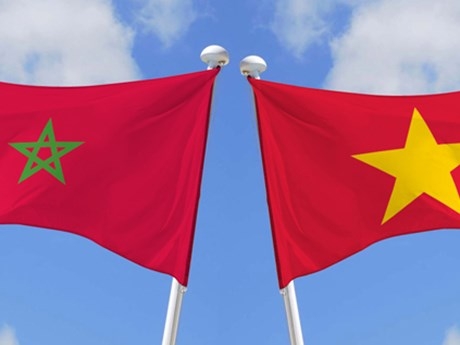 Điện mừng kỷ niệm 60 năm Ngày thiết lập quan hệ ngoại giao Việt Nam và Ma-rốc