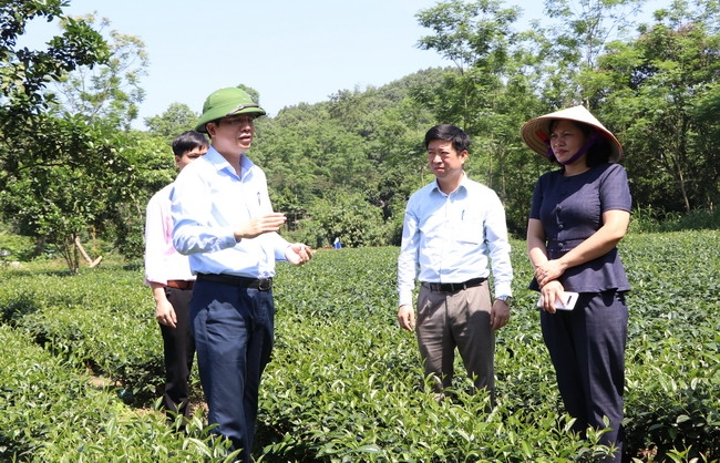 Thái Nguyên: Đặc sắc mô hình cộng đồng "kinh tế vừa đủ"