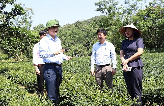 Thái Nguyên: Đặc sắc mô hình cộng đồng "kinh tế vừa đủ"