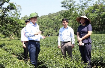 thai nguyen dac sac mo hinh cong dong kinh te vua du