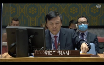 Việt Nam kêu gọi cộng đồng quốc tế tăng cường hỗ trợ CHDC Congo