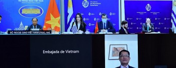 Thúc đẩy lĩnh vực hợp tác tiềm năng hướng đến kỷ niệm 30 năm thiết lập quan hệ Việt Nam-Uruguay