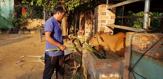 Hành trình từ kẻ lầm lỗi theo Fulro trở thành người uy tín trong làng Rai