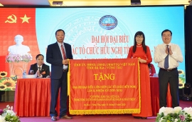 Bà Đỗ Thị Như Mai tiếp tục được tín nhiệm bầu làm Chủ tịch Liên hiệp Các tổ chức hữu nghị tỉnh Bà Rịa - Vũng Tàu
