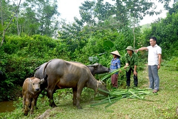 Phương pháp giúp giảm nghèo độc đáo của Tuyên Quang