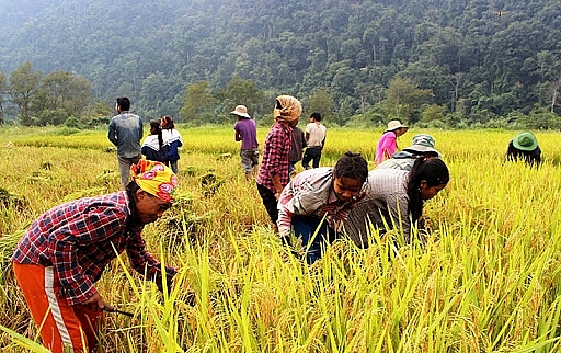 Những bài học kinh nghiệm từ công tác giảm nghèo bền vững