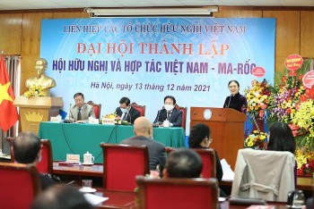 Phát huy vai trò, nâng cao hiệu quả công tác đối ngoại nhân dân, một trụ cột của nền ngoại giao Việt Nam toàn diện, hiện đại