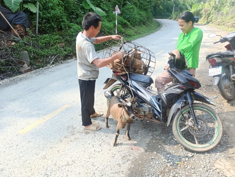 Góp phần giải quyết nhiệm vụ khôi phục kinh tế xã hội trong giai đoạn “bình thường mới”