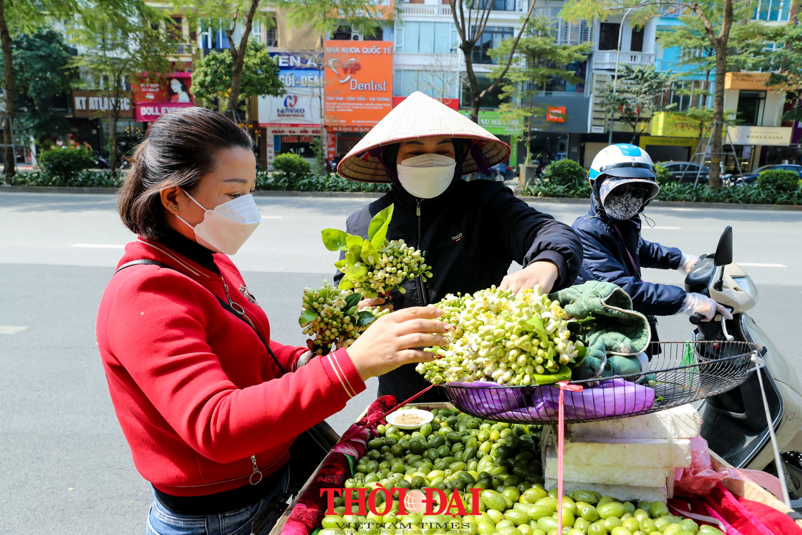 Hà Nội mùa hoa bưởi ngát hương