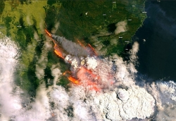 Chùm ảnh: Autralia tan hoang vì cháy rừng thảm khốc