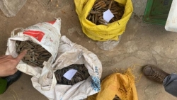 Đắk Lắk: Tạm giữ người chuyên cưa bom mìn lấy thuốc nổ đem bán