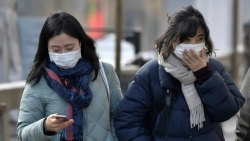 Hàn Quốc phát hiện ca bệnh viêm phổi lạ đầu tiên do virus corona mới