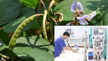 phu tho an hat cu dau hai anh em ruot bi ngo doc nang