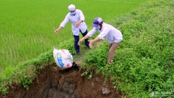 Hà Nội, Thanh Hóa tiêu hủy hơn 26.000 con gia cầm vì virus cúm A/H5N6