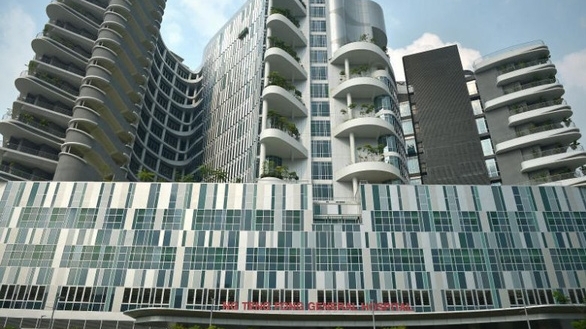nguoi phu nu o singapore nhiem cung luc covid 19 va sot xuat huyet