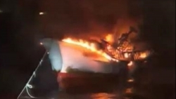 Cháy tàu cá ở Hàn Quốc, 5 thuyền viên Việt mất tích