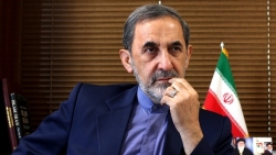 Iran: Giám đốc bệnh viện tuyến đầu chữa Covid-19 nhiễm virus SARS-CoV-2