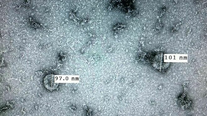 virus corona gay dich covid 19 o viet nam da tien hoa