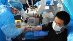 Việt Nam dùng huyết tương điều trị cho bệnh nhân COVID-19 nặng
