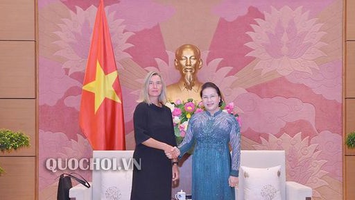 chu tich quoc hoi trao doi ve cang thang bien dong voi pho chu tich uy ban chau au
