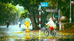 du bao thoi tiet ngay 2682019 bac bo mua rao ve dem va sang