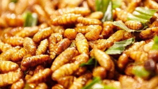 hai phong suyt chet sau khi an 15 con nhong tam