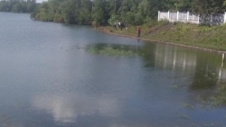 quang tri nam sinh chuyen toan tu vong duoi ho truoc ki thi hoc sinh gioi