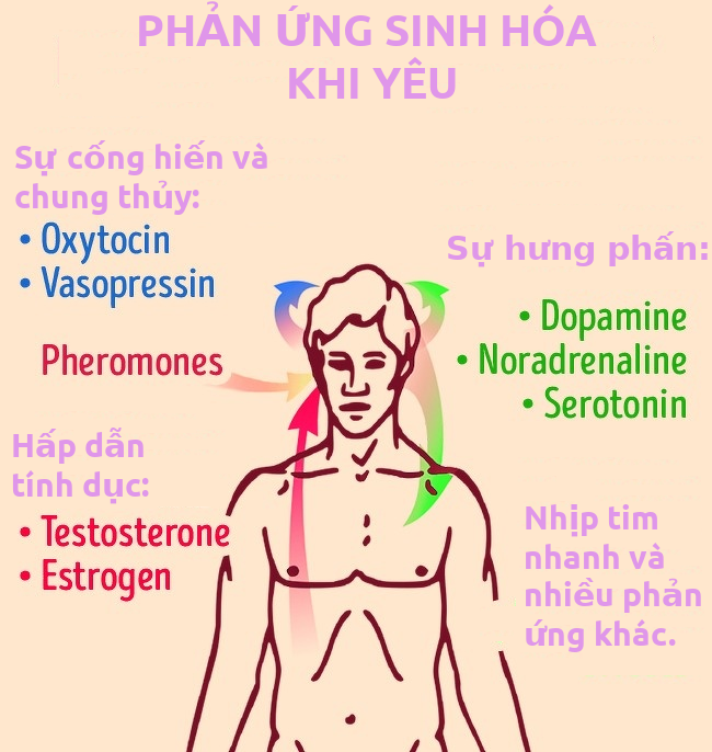 tinh yeu tao ra hoc mon gay nghien lam sao de cam giac do keo dai mai mai